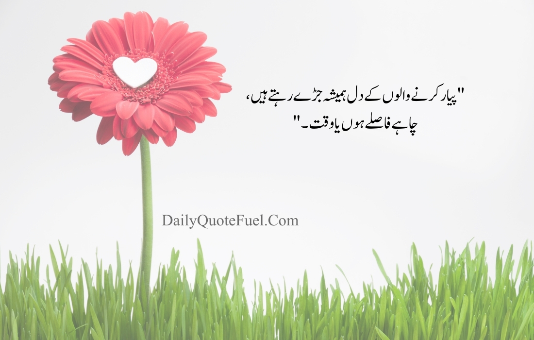 Quotes for WhatsApp Status in Urdu